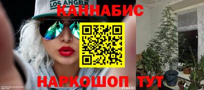 тгк Заводоуковск