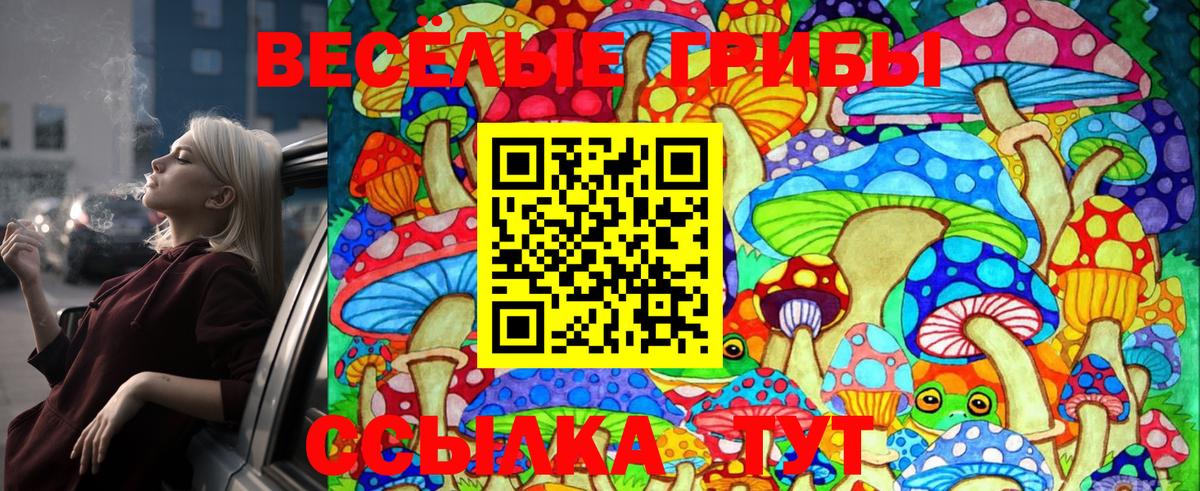 Псилоцибиновые грибы GOLDEN TEACHER  дарнет шоп  Кумертау  Псилоцибиновые грибы Psilocybine cubensis  Вход с VPN 