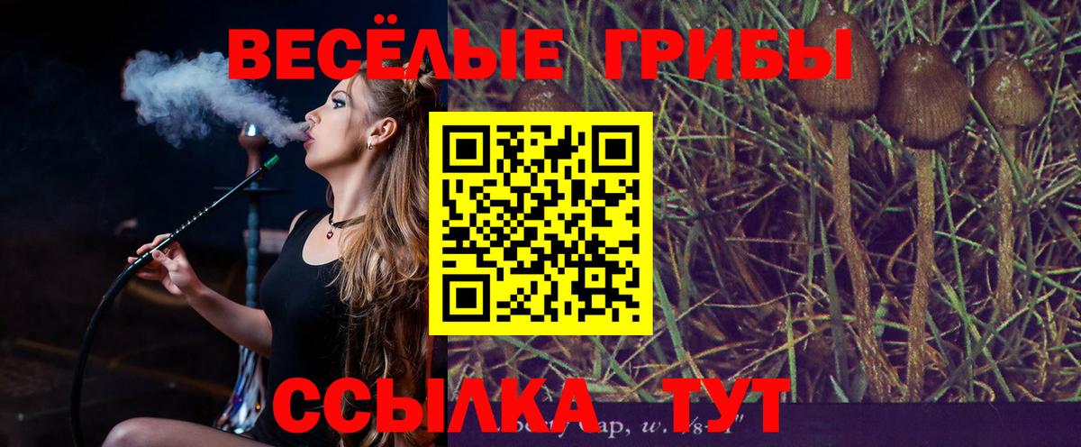 Галлюциногенные грибы Cubensis Кумертау